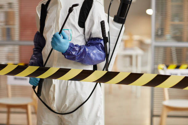 Professional Infectious Disease Decontamination technician working in Ben Lomond, CA