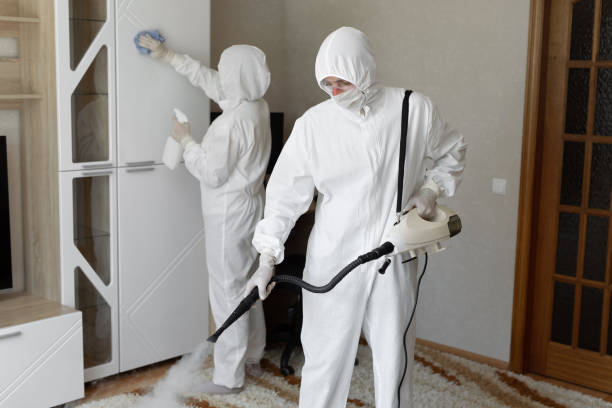 24/7 Emergency Infectious Disease Decontamination experts in Ben Lomond, CA
