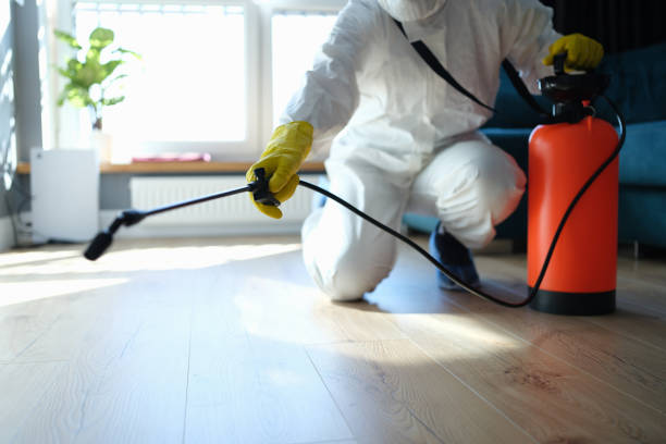 Reliable Infectious Disease Decontamination contractor in Ben Lomond, CA by Trauma Clean Pros